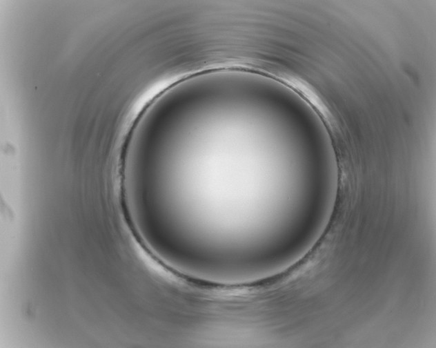 X0000090951143200708091324
