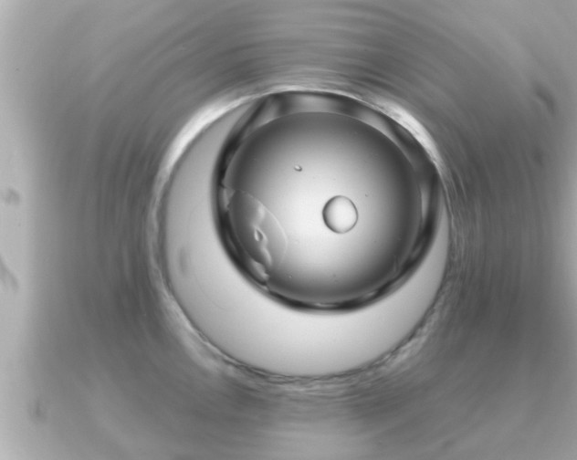 X0000090951146200708091324