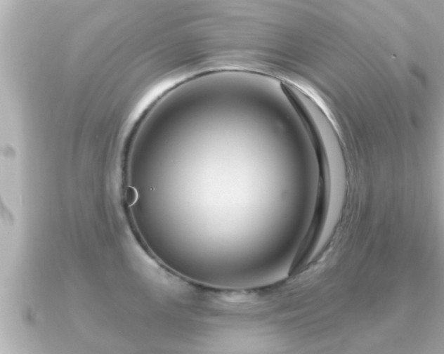 X0000090951147200708091324