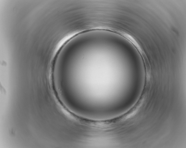 X0000090951149200708091324