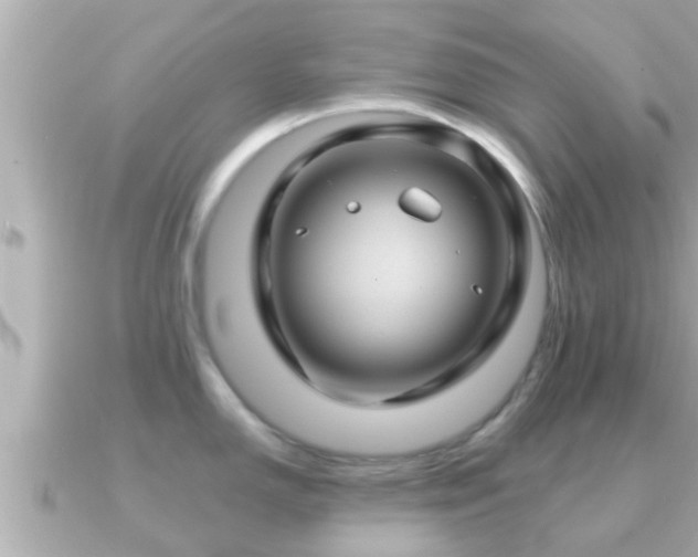 X0000090951150200708091324