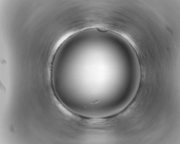 X0000090951151200708091324
