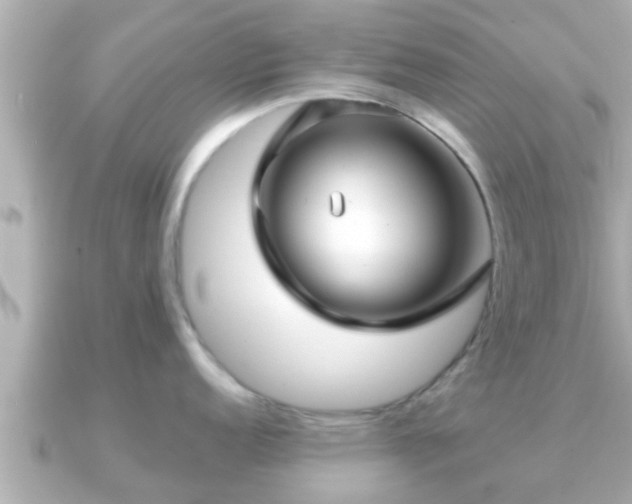 X0000090951152200708091324