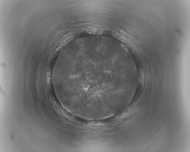 X0000090951154200708091323