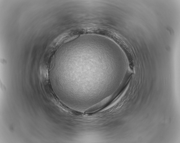 X0000090951155200708091323