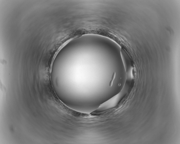 X0000090951156200708091323