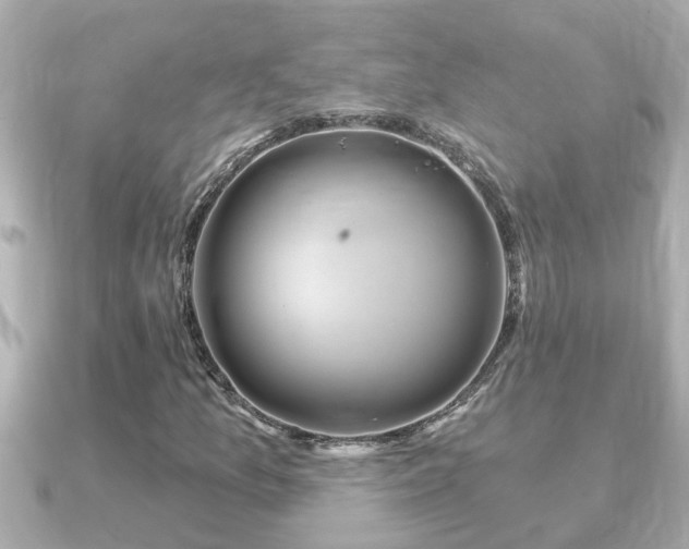 X0000090951157200708091323