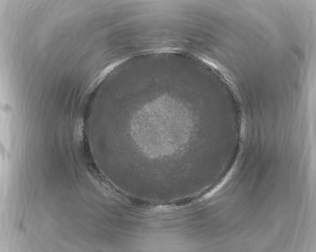 X0000090951161200708091323
