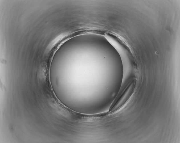 X0000090951163200708091323