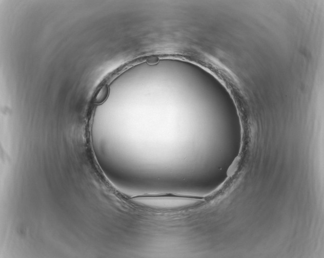 X0000090951166200708091323