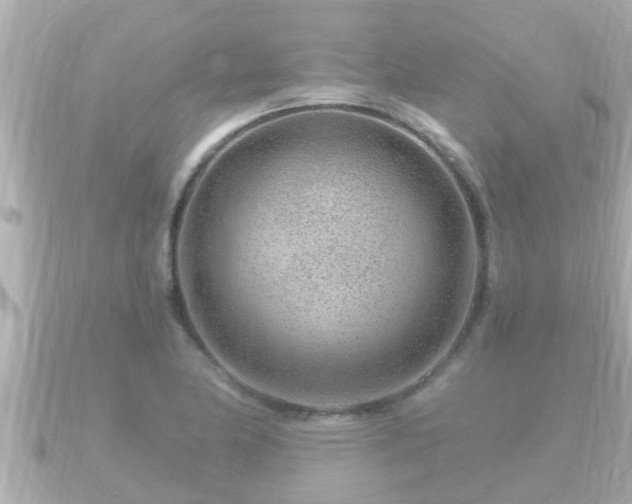 X0000090951174200708091323