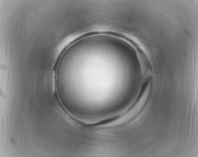 X0000090951175200708091323