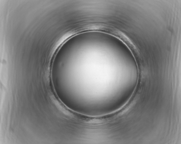 X0000090951178200708091323