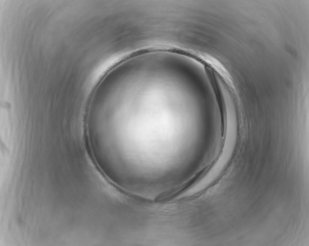X0000090951183200708091323