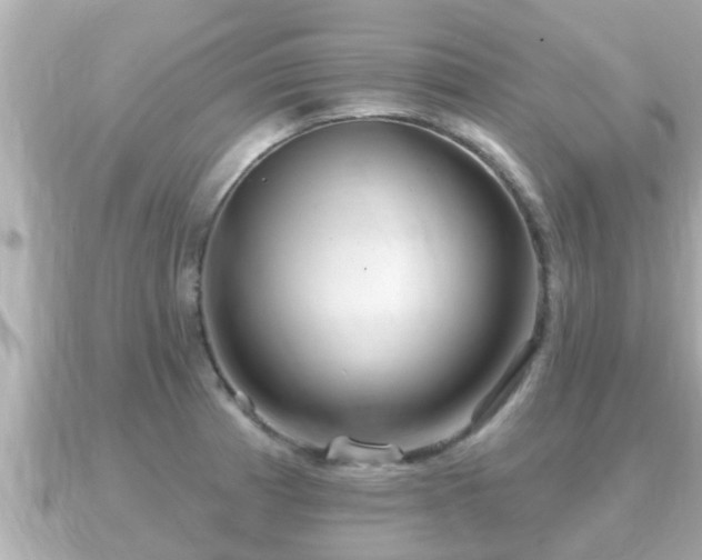 X0000090951185200708091323