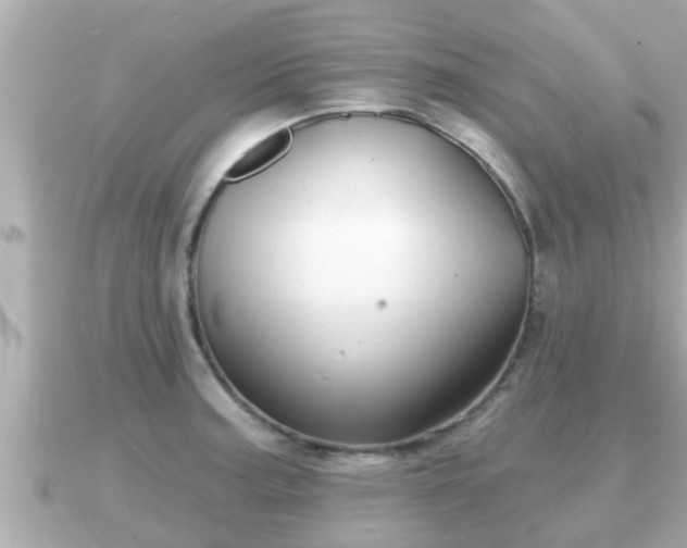 X0000090951187200708091323
