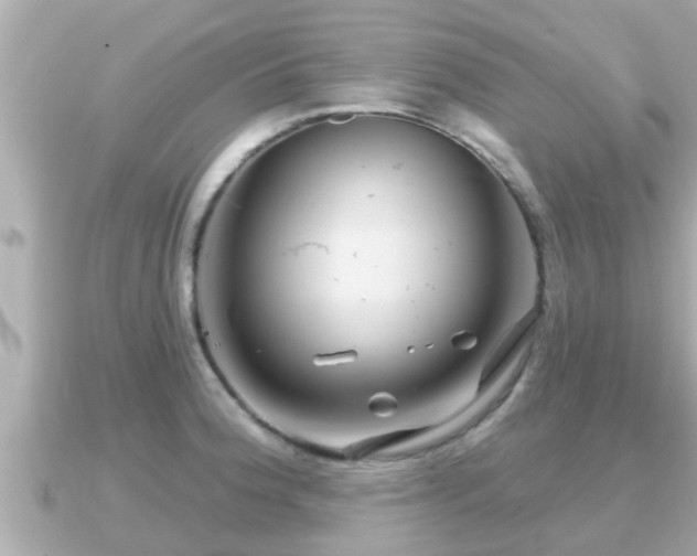 X0000090951188200708091323