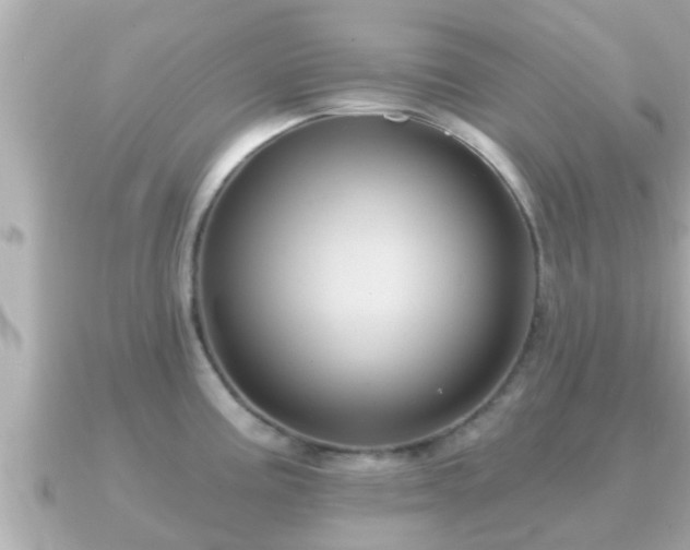 X0000090951195200708091323