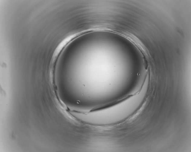 X0000090951196200708091323