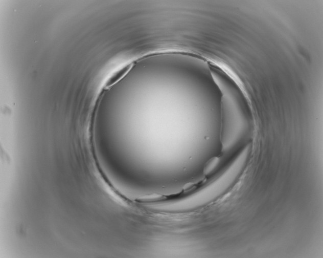 X0000090951197200708091323