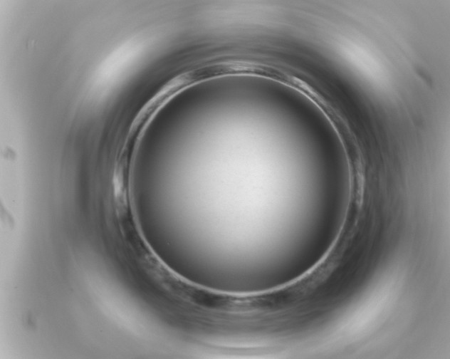 X0000090951198200708091323
