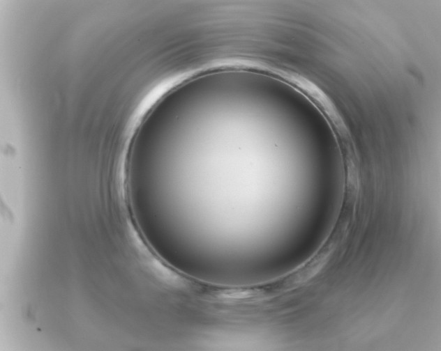 X0000090951199200708091323