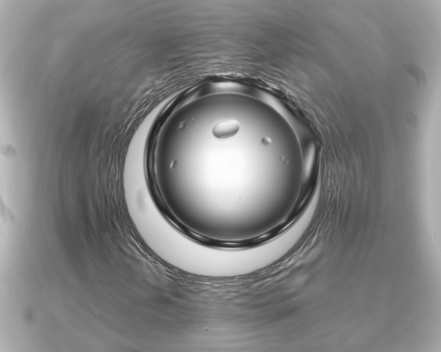 X0000090951202200708091322