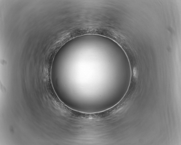 X0000090951203200708091322