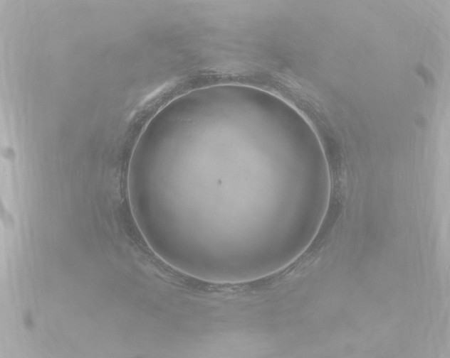 X0000090951205200708091322