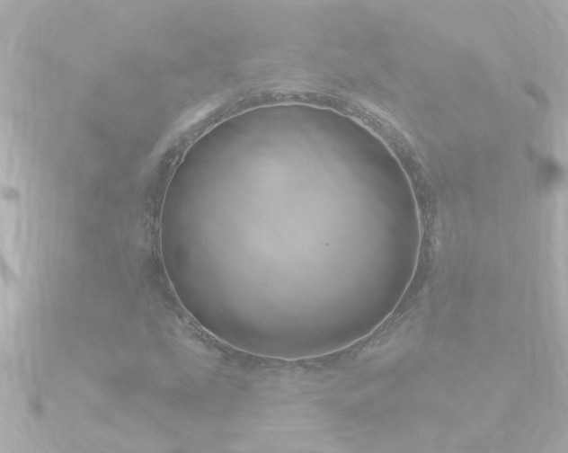 X0000090951207200708091322