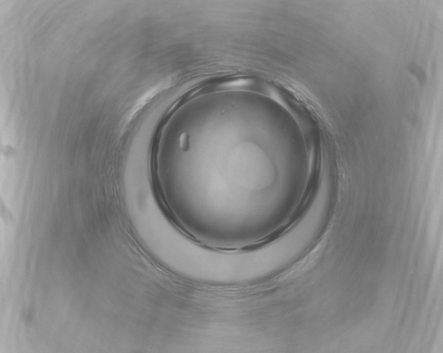 X0000090951210200708091322