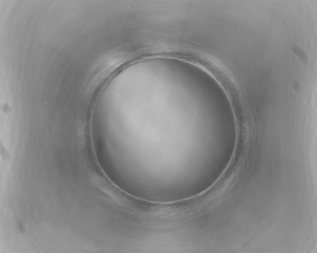 X0000090951217200708091322