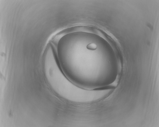 X0000090951222200708091322
