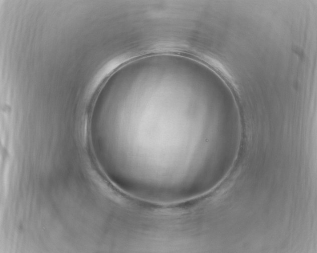 X0000090951227200708091322