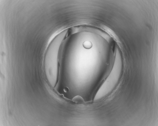 X0000090951234200708091322