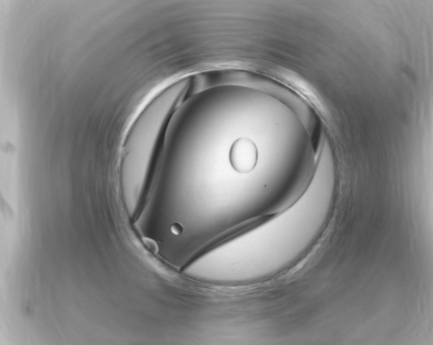 X0000090951236200708091322