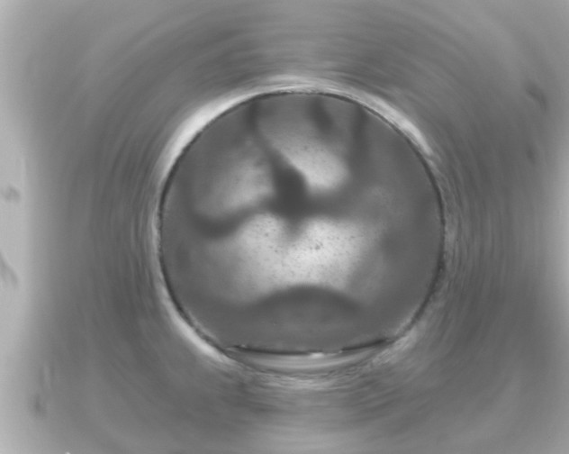 X0000090951239200708091322