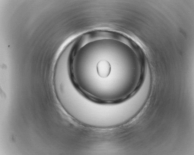 X0000090951240200708091322