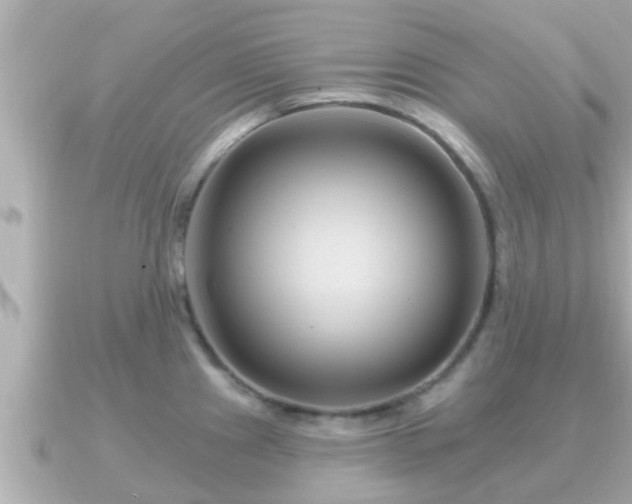 X0000090951241200708091322