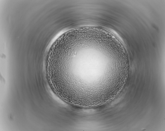 X0000090951243200708091322