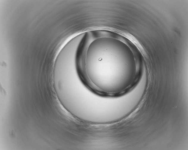 X0000090951244200708091322
