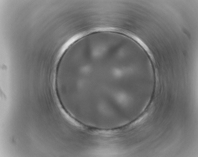 X0000090951245200708091322