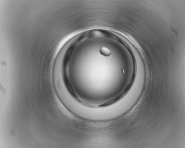 X0000090951246200708091322