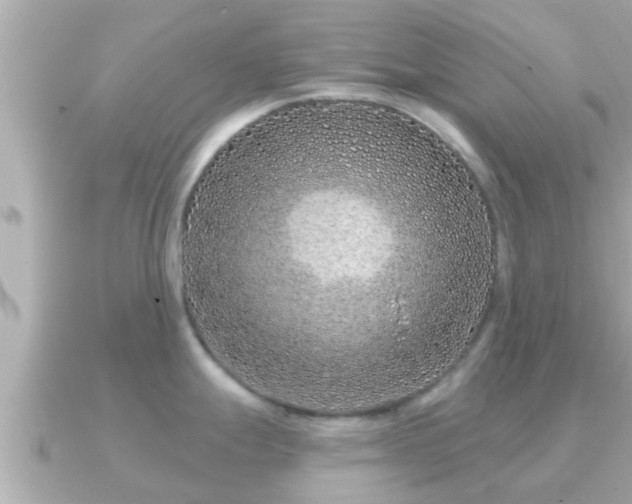 X0000090951247200708091322