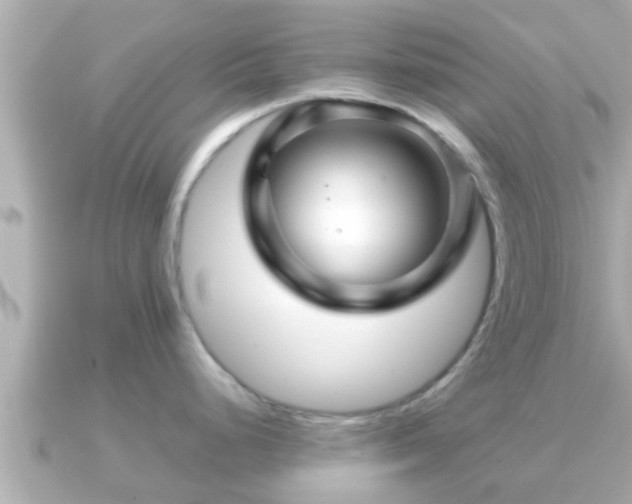 X0000090951248200708091323