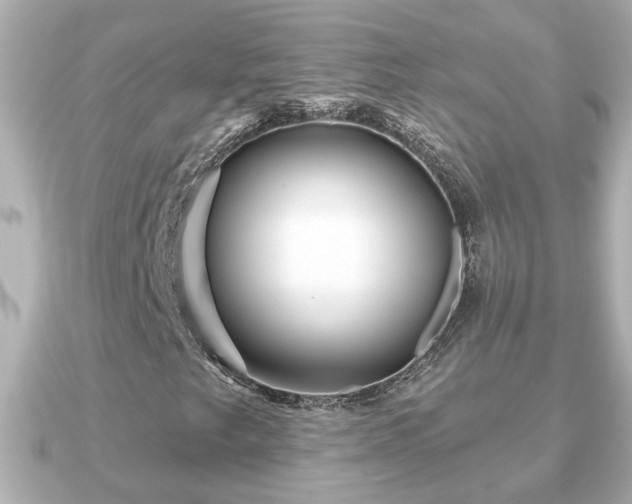 X0000090951249200708091322