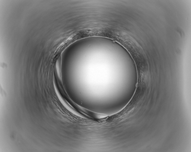 X0000090951250200708091322