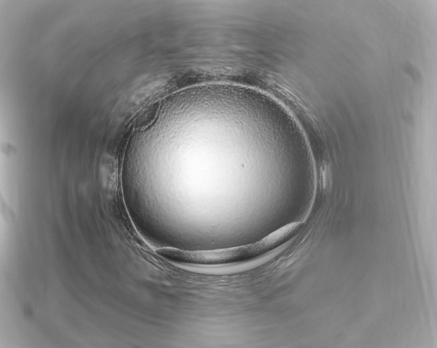 X0000090951251200708091322