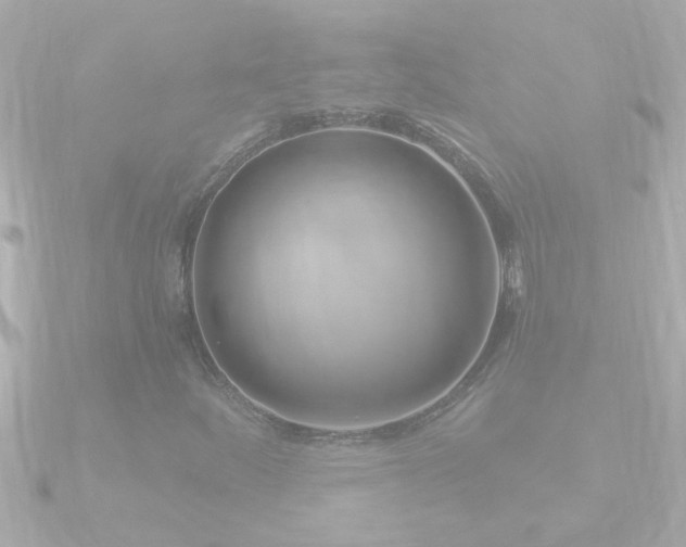X0000090951252200708091322