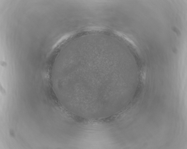 X0000090951254200708091322